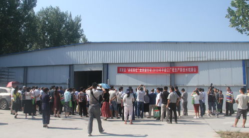 河南省“四優(yōu)四化”科技支撐行動(dòng)計(jì)劃食用菌專項(xiàng)平菇、雙孢蘑菇工廠化生產(chǎn)新技術(shù)觀摩交流會(huì)暨技術(shù)轉(zhuǎn)讓會(huì)成功召開